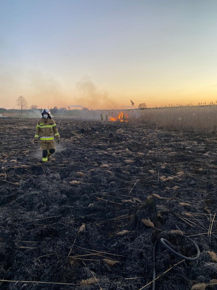 Zdjęcie w galerii na portalu naszraciborz.pl: Interwencje straży pożarnej w powiecie raciborskim. Cztery zdarzenia jednego dnia [RAPORT 998] wiadomości z regionu