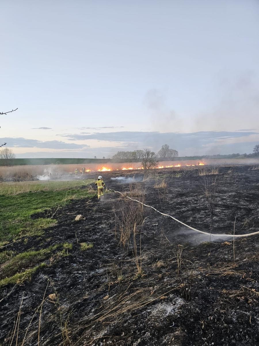 Zdjęcie w galerii na portalu naszraciborz.pl: Interwencje straży pożarnej w powiecie raciborskim. Cztery zdarzenia jednego dnia [RAPORT 998] wiadomości z regionu