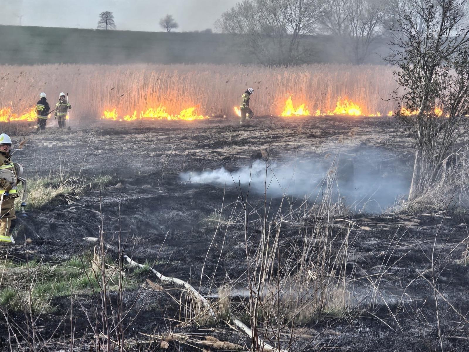 Zdjęcie w galerii na portalu naszraciborz.pl: Interwencje straży pożarnej w powiecie raciborskim. Cztery zdarzenia jednego dnia [RAPORT 998] wiadomości z regionu