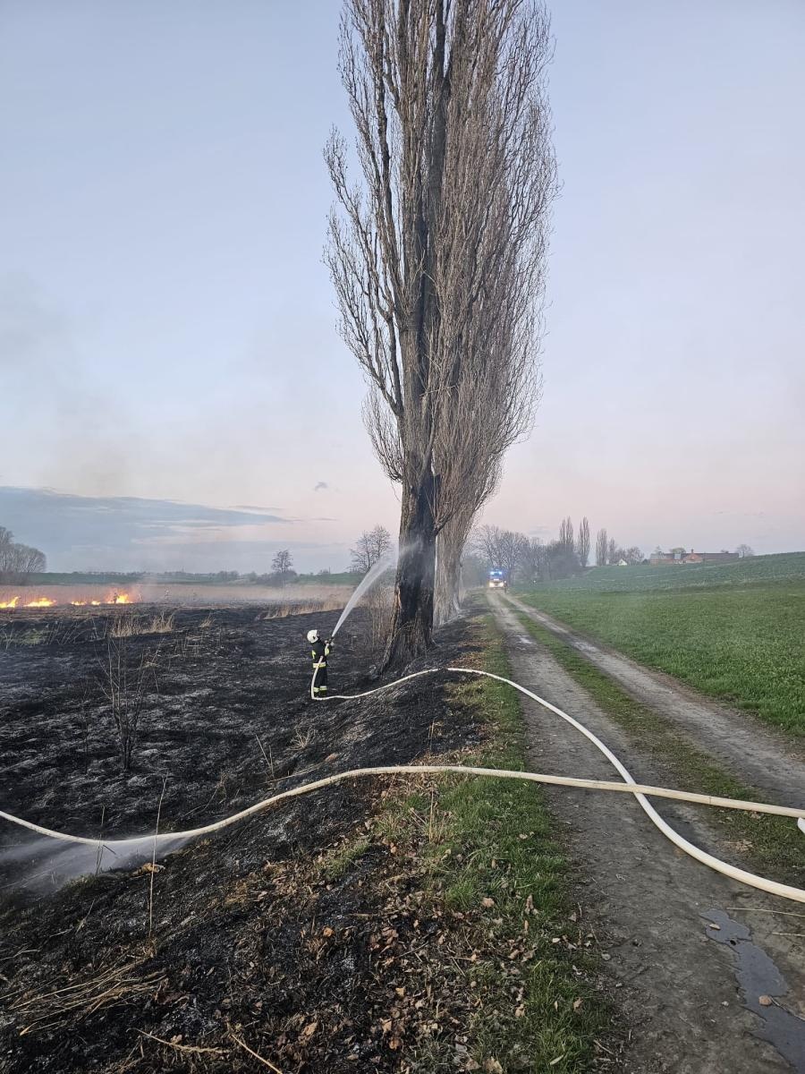 Zdjęcie w galerii na portalu naszraciborz.pl: Interwencje straży pożarnej w powiecie raciborskim. Cztery zdarzenia jednego dnia [RAPORT 998] wiadomości z regionu