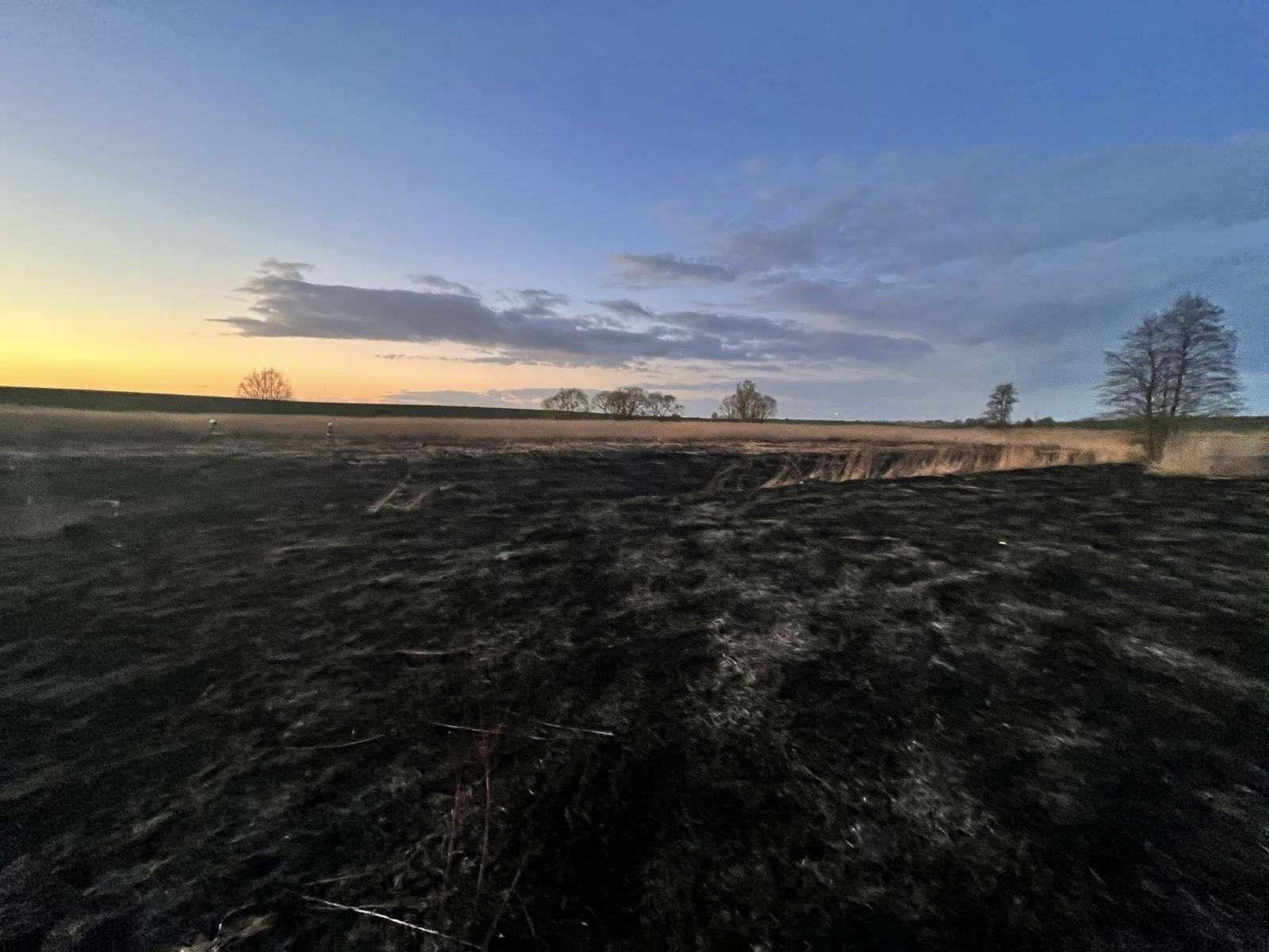 Zdjęcie w galerii na portalu naszraciborz.pl: Interwencje straży pożarnej w powiecie raciborskim. Cztery zdarzenia jednego dnia [RAPORT 998] wiadomości z regionu