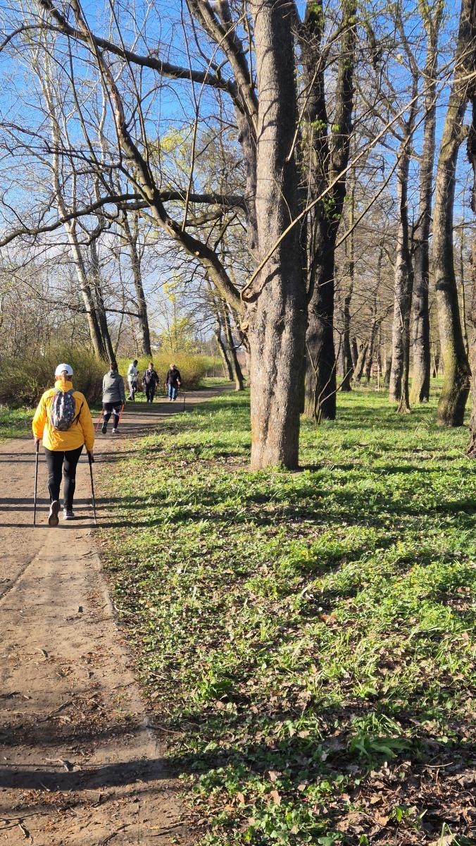 Zdjęcie w galerii na portalu naszraciborz.pl: Racibórz rozpoczął sezon aktywności na świeżym powietrzu. Nowością zajęcia ChodzęBoLubię wiadomości z regionu