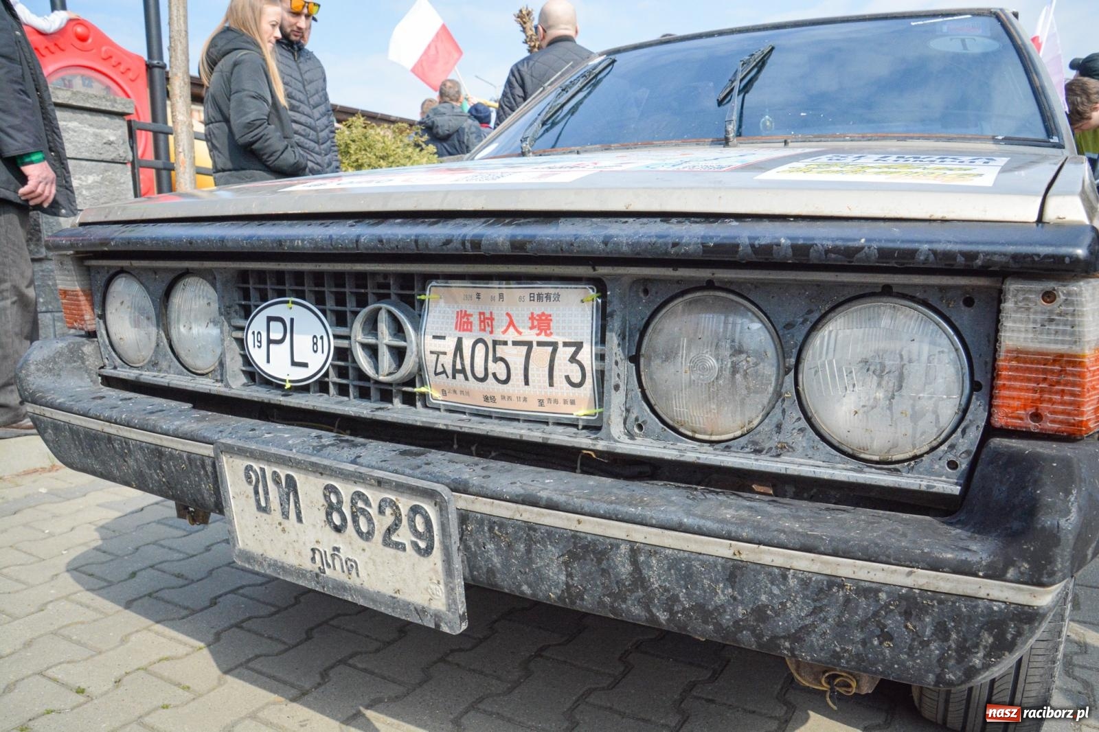 Zdjęcie w galerii na portalu naszraciborz.pl: Z Tajlandii do Chałupek: Kultowe Fiaty i Polonez tłumnie powitane w ojczyźnie [FOTO i WIDEO] wiadomości z regionu