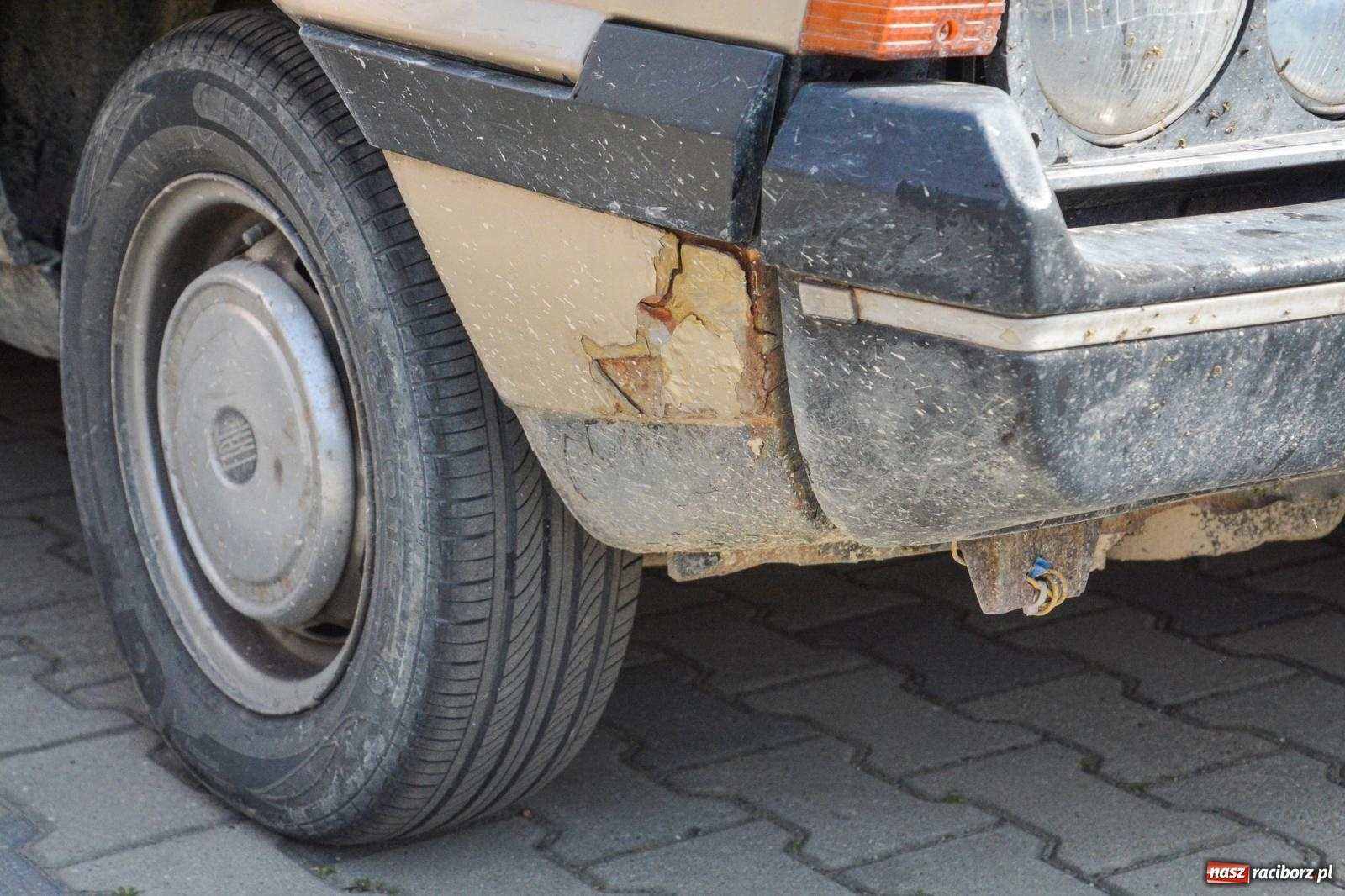Zdjęcie w galerii na portalu naszraciborz.pl: Z Tajlandii do Chałupek: Kultowe Fiaty i Polonez tłumnie powitane w ojczyźnie [FOTO i WIDEO] wiadomości z regionu
