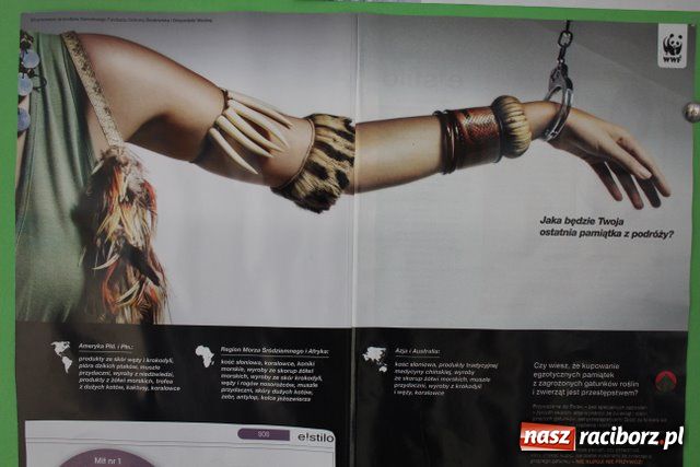 Zdjęcie w galerii na portalu naszraciborz.pl: II LO - jedyne takie śniadanie wiadomości z regionu