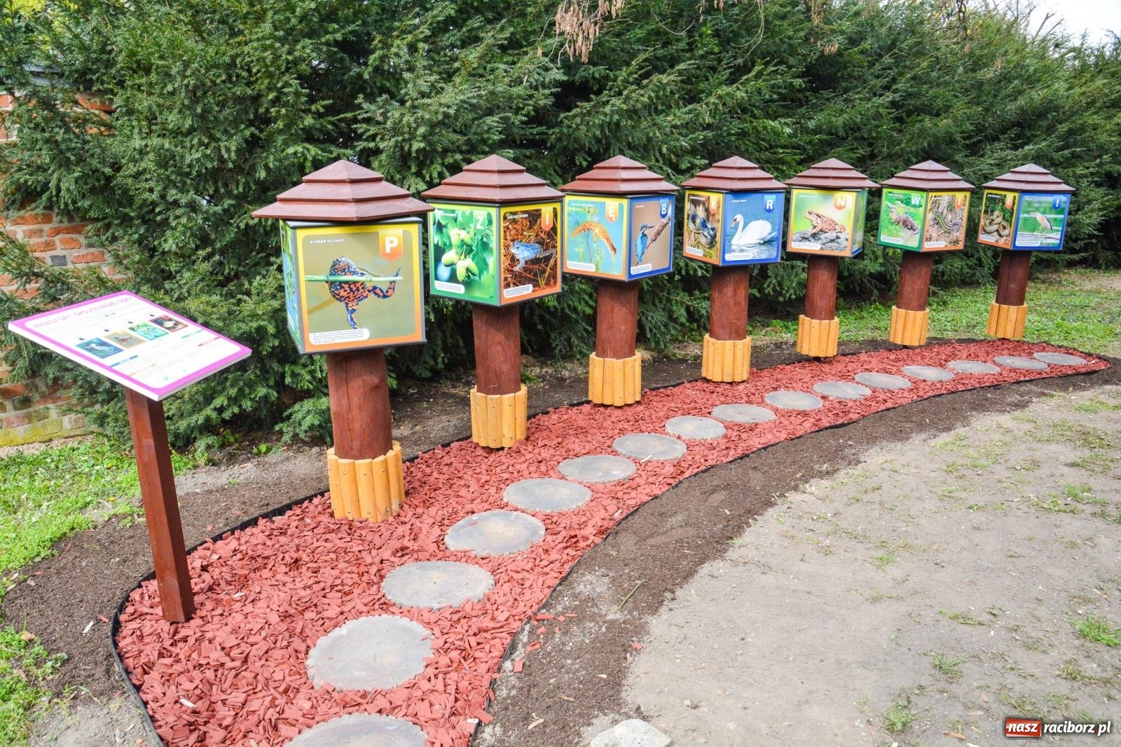 Zdjęcie w galerii na portalu naszraciborz.pl: Odrarium przy Zamku Piastowskim już otwarte. Nowa przestrzeń edukacji przyrodniczej nad Odrą [FOTO i WIDEO] wiadomości z regionu