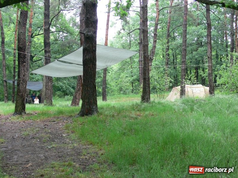 Zdjęcie w galerii na portalu naszraciborz.pl: Biwak w szymocickim lesie wiadomości z regionu