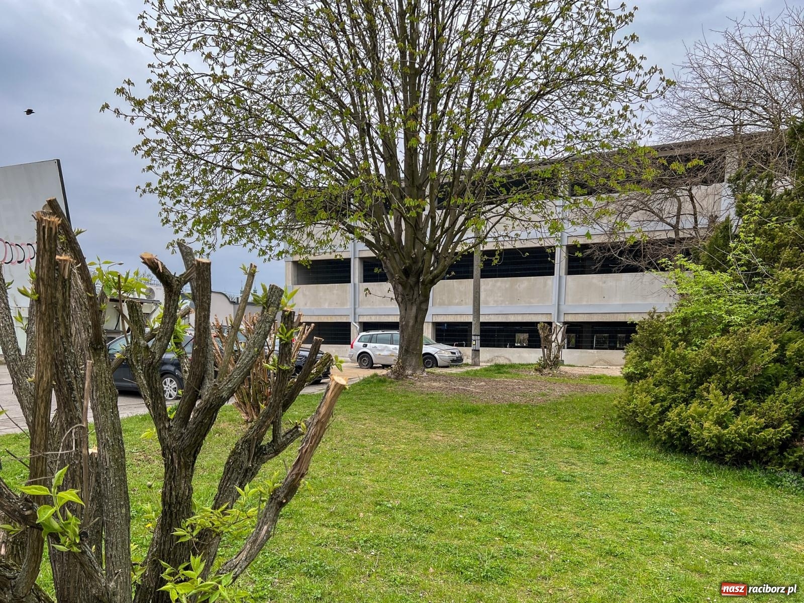 Zdjęcie w galerii na portalu naszraciborz.pl: Garaż wielopoziomowy przy ul. Żółkiewskiego już otwarty. Zakończono inwestycję parkingową w Raciborzu [FOTO] wiadomości z regionu