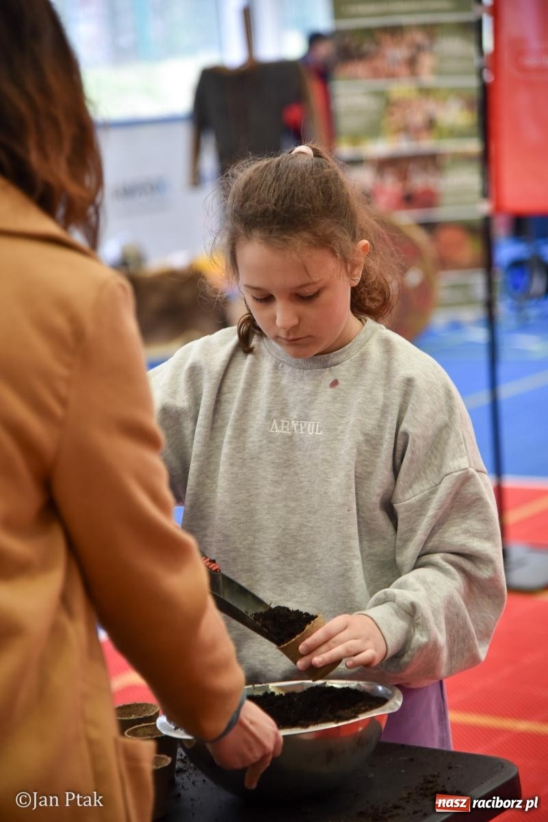 Zdjęcie w galerii na portalu naszraciborz.pl: Lodowisko Piastor zmieniło przeznaczenie. Po ślizgawce czas na gry zespołowe i aktywności ruchowe wiadomości z regionu
