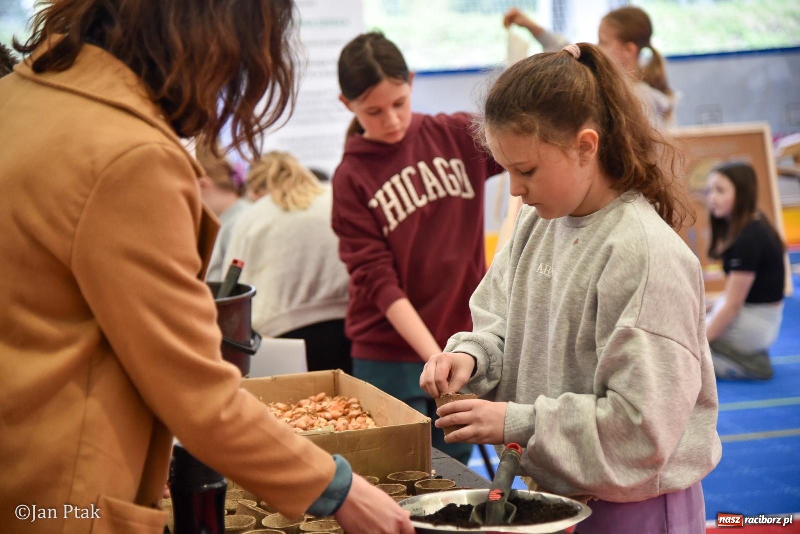 Zdjęcie w galerii na portalu naszraciborz.pl: Lodowisko Piastor zmieniło przeznaczenie. Po ślizgawce czas na gry zespołowe i aktywności ruchowe wiadomości z regionu