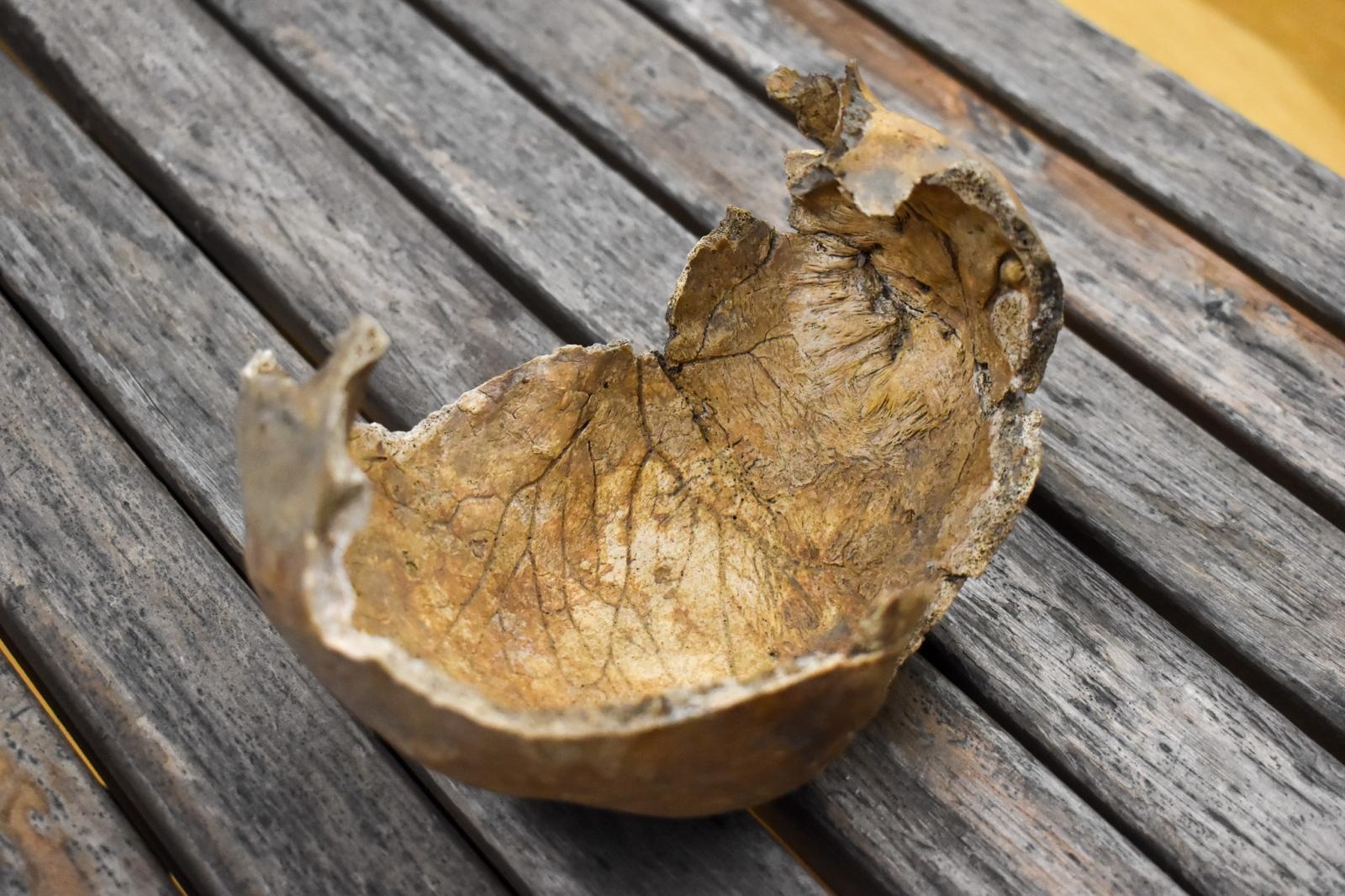 Zdjęcie w galerii na portalu naszraciborz.pl: Archeologia na tropie tajemnic raciborskich Piastów. Spotkanie w Zamku Piastowskim wiadomości z regionu