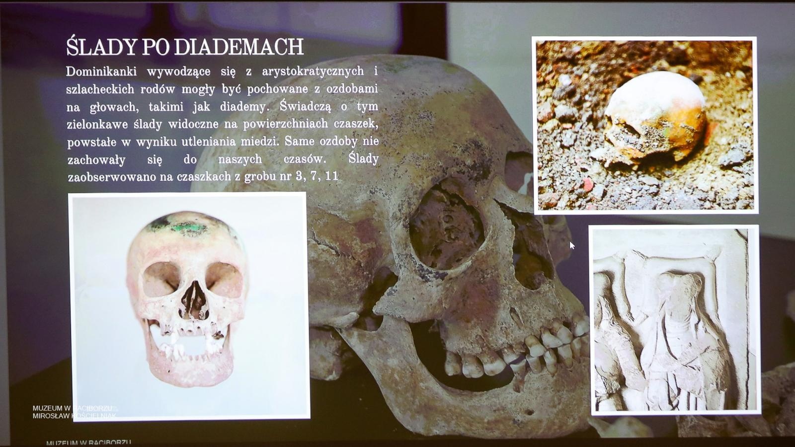 Zdjęcie w galerii na portalu naszraciborz.pl: Archeologia na tropie tajemnic raciborskich Piastów. Spotkanie w Zamku Piastowskim wiadomości z regionu