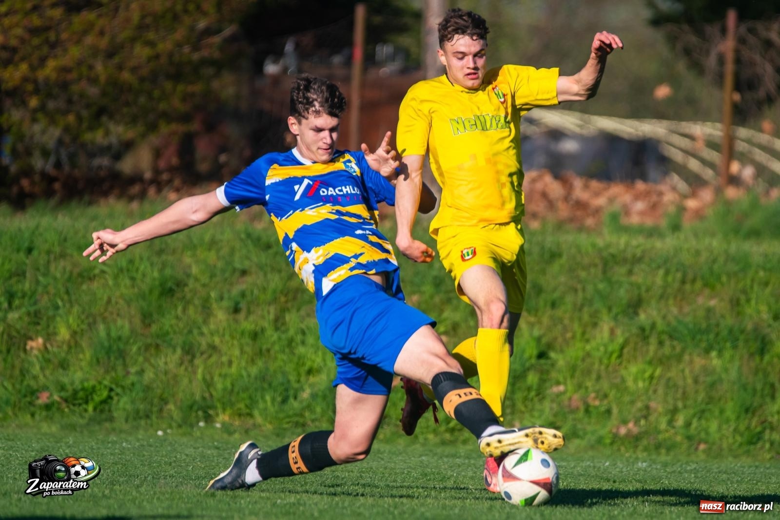 Zdjęcie w galerii na portalu naszraciborz.pl: Walczyli dzielnie, przegrali na finiszu. Poważna kontuzja gracza Gamowa [FOTO] wiadomości z regionu