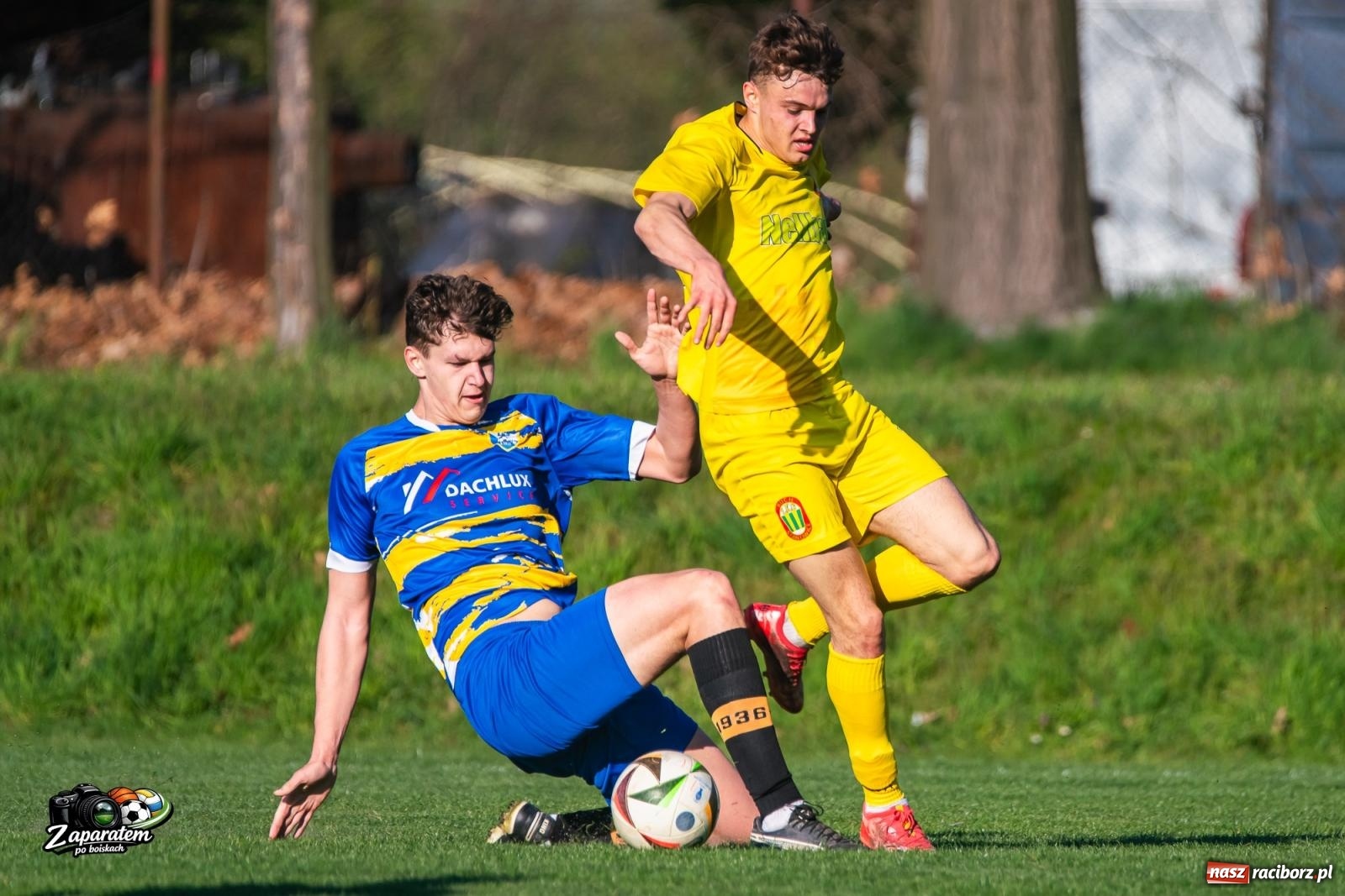 Zdjęcie w galerii na portalu naszraciborz.pl: Walczyli dzielnie, przegrali na finiszu. Poważna kontuzja gracza Gamowa [FOTO] wiadomości z regionu