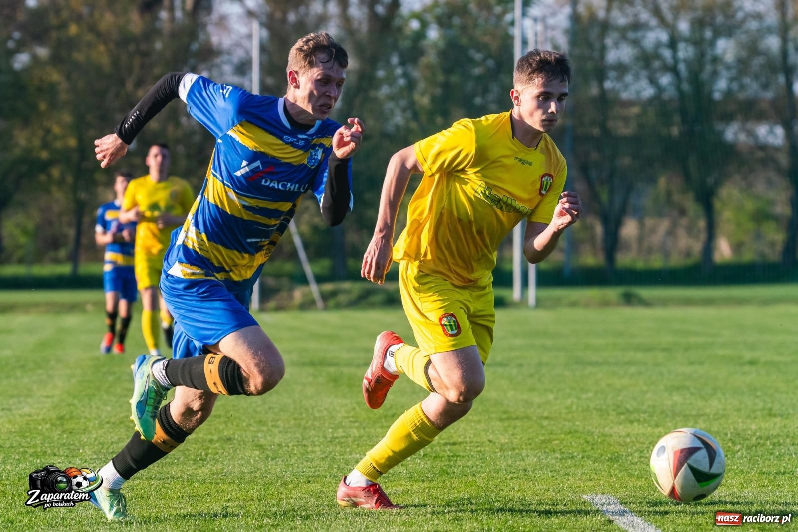 Zdjęcie w galerii na portalu naszraciborz.pl: Walczyli dzielnie, przegrali na finiszu. Poważna kontuzja gracza Gamowa [FOTO] wiadomości z regionu