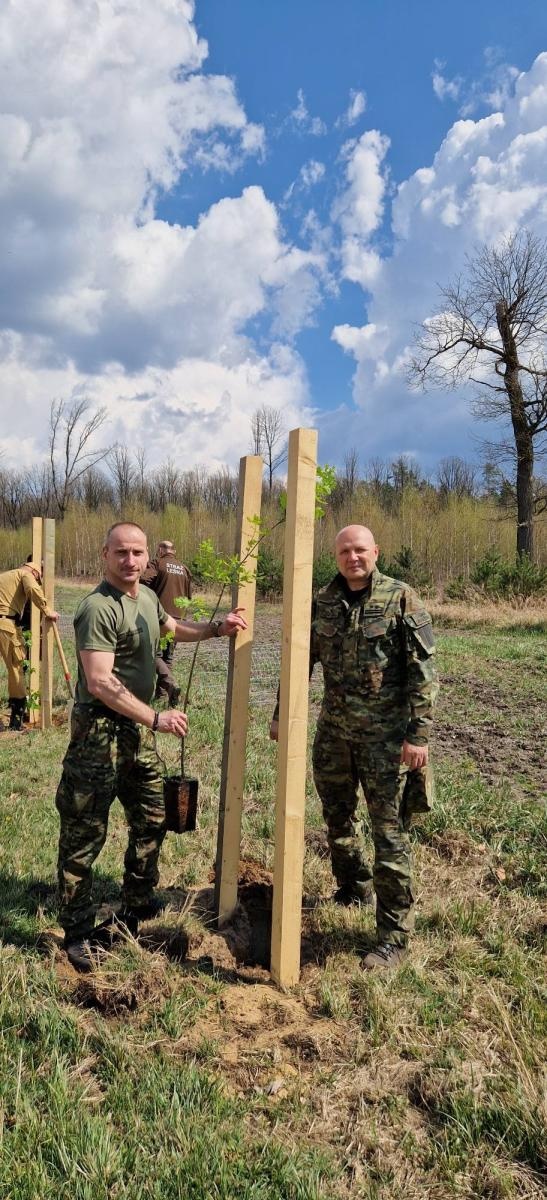 Zdjęcie w galerii na portalu naszraciborz.pl: Mundurowe sadzenie lasu w Rudach. Wspólna akcja służb i samorządowców wiadomości z regionu