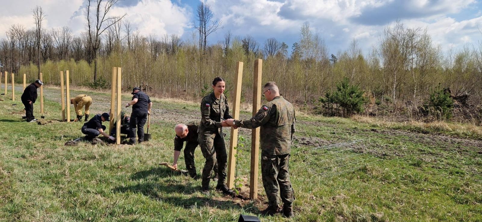 Zdjęcie w galerii na portalu naszraciborz.pl: Mundurowe sadzenie lasu w Rudach. Wspólna akcja służb i samorządowców wiadomości z regionu