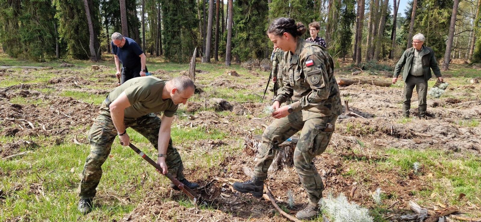 Zdjęcie w galerii na portalu naszraciborz.pl: Mundurowe sadzenie lasu w Rudach. Wspólna akcja służb i samorządowców wiadomości z regionu