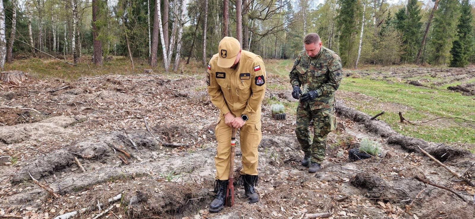 Zdjęcie w galerii na portalu naszraciborz.pl: Mundurowe sadzenie lasu w Rudach. Wspólna akcja służb i samorządowców wiadomości z regionu