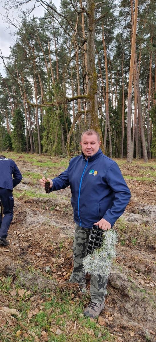 Zdjęcie w galerii na portalu naszraciborz.pl: Mundurowe sadzenie lasu w Rudach. Wspólna akcja służb i samorządowców wiadomości z regionu