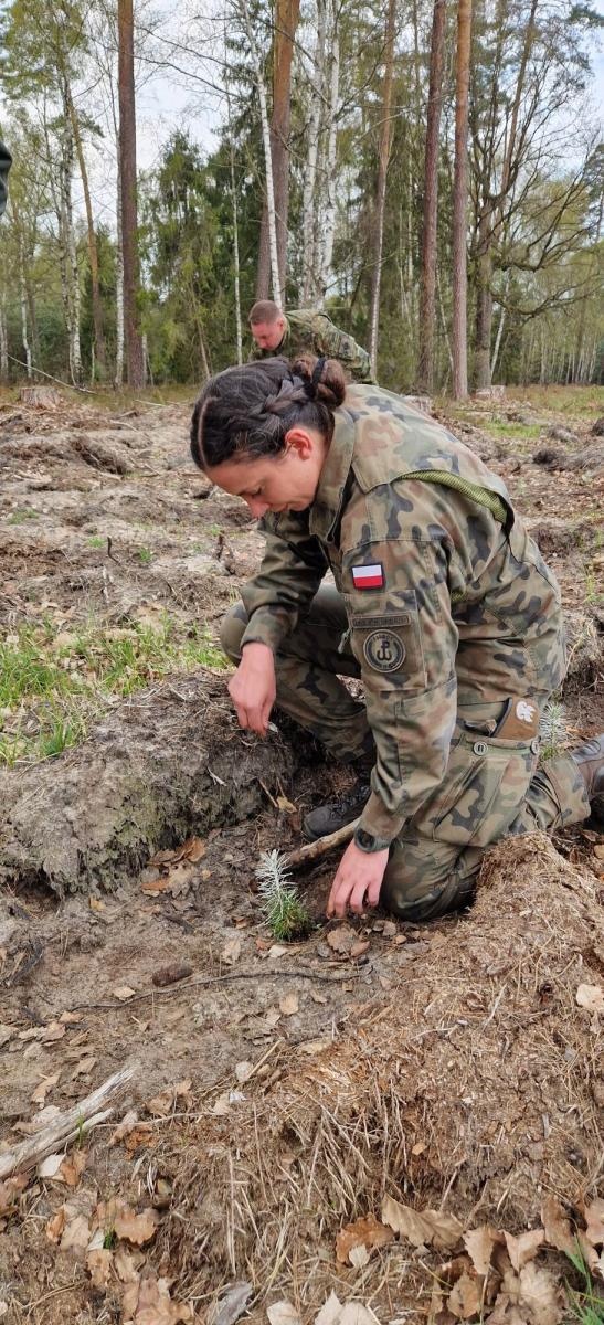 Zdjęcie w galerii na portalu naszraciborz.pl: Mundurowe sadzenie lasu w Rudach. Wspólna akcja służb i samorządowców wiadomości z regionu