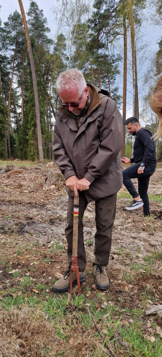 Zdjęcie w galerii na portalu naszraciborz.pl: Mundurowe sadzenie lasu w Rudach. Wspólna akcja służb i samorządowców wiadomości z regionu