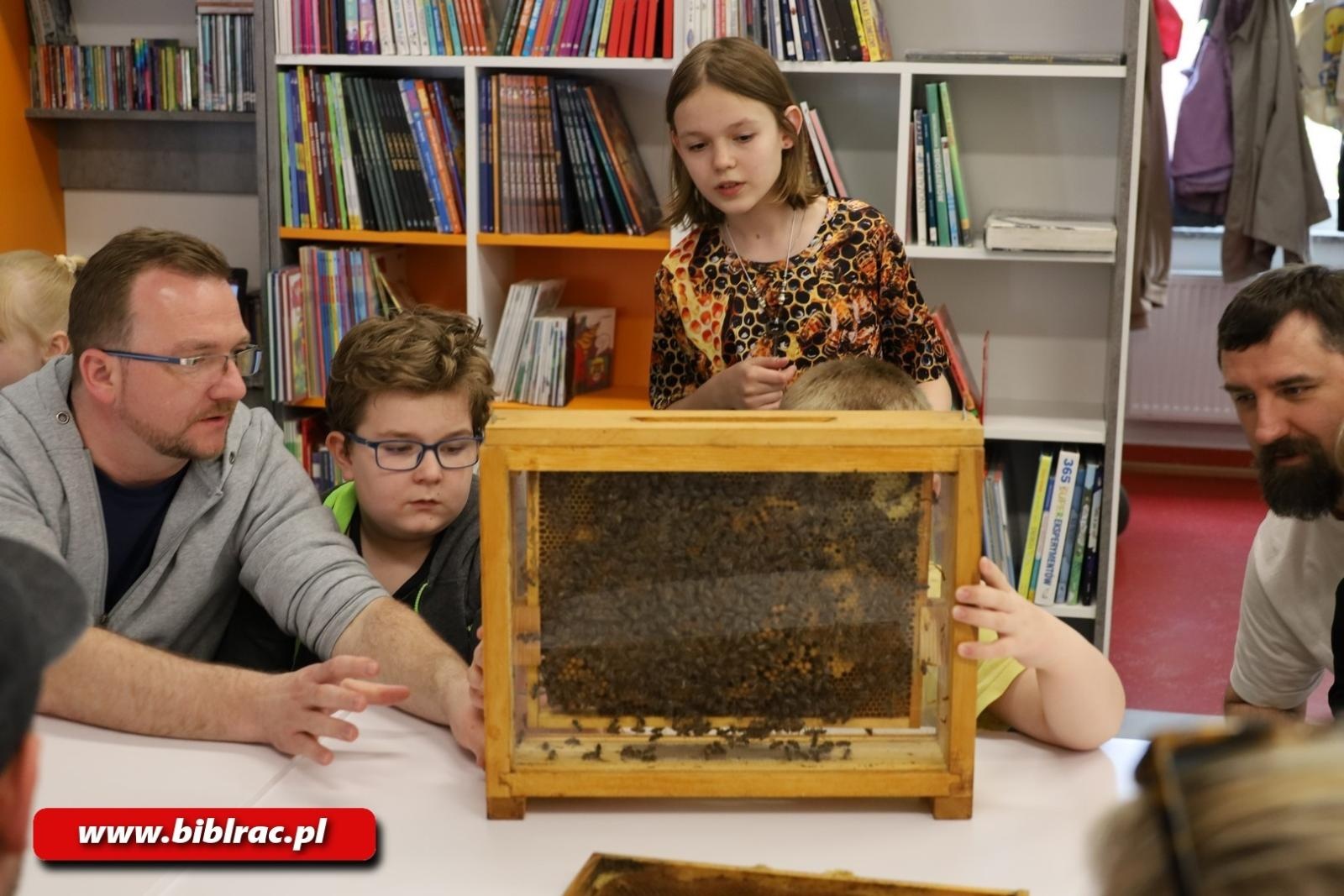 Zdjęcie w galerii na portalu naszraciborz.pl: Tajemnice pszczół odkryte w Klubie Ojca w raciborskiej bibliotece wiadomości z regionu