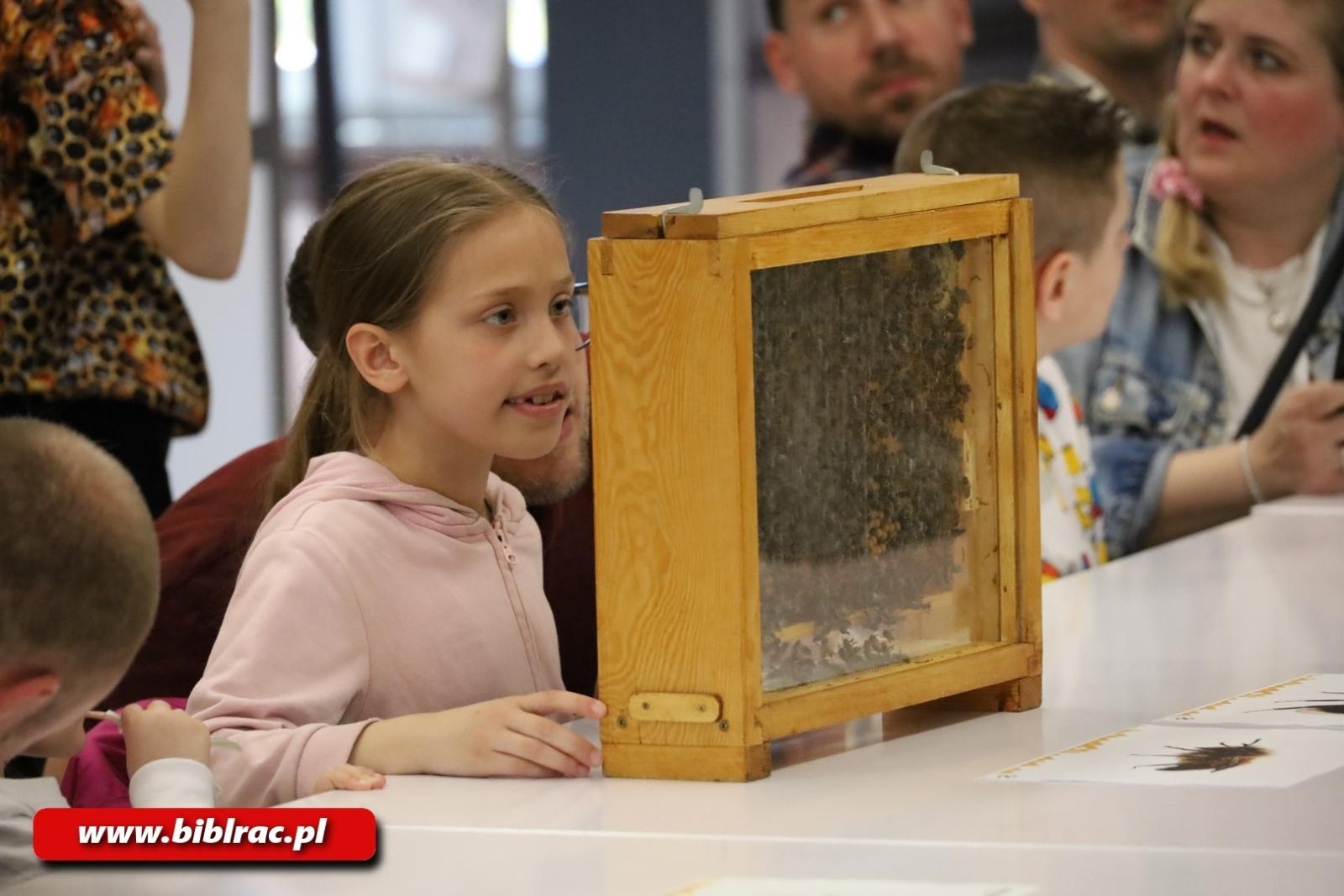 Zdjęcie w galerii na portalu naszraciborz.pl: Tajemnice pszczół odkryte w Klubie Ojca w raciborskiej bibliotece wiadomości z regionu