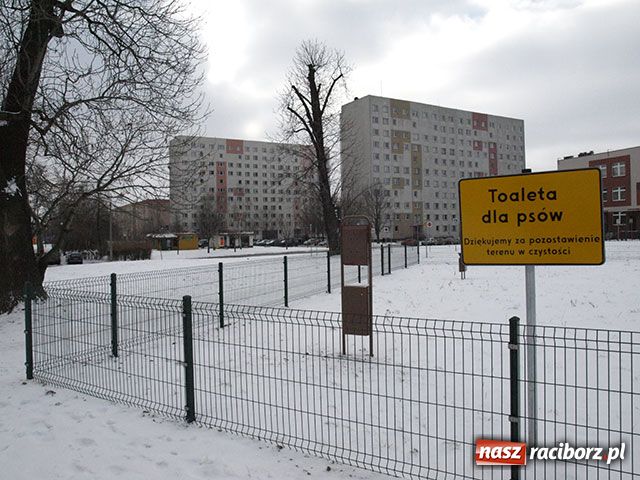 Zdjęcie w galerii na portalu naszraciborz.pl: Jutro otwarcie pierwszej psiej toalety wiadomości z regionu