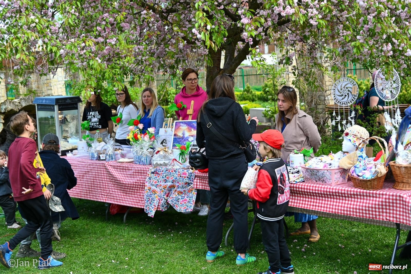 Zdjęcie w galerii na portalu naszraciborz.pl: Racibórz dla planety. Podsumowanie Dnia Ziemi w Ogródku Jordanowskim wiadomości z regionu