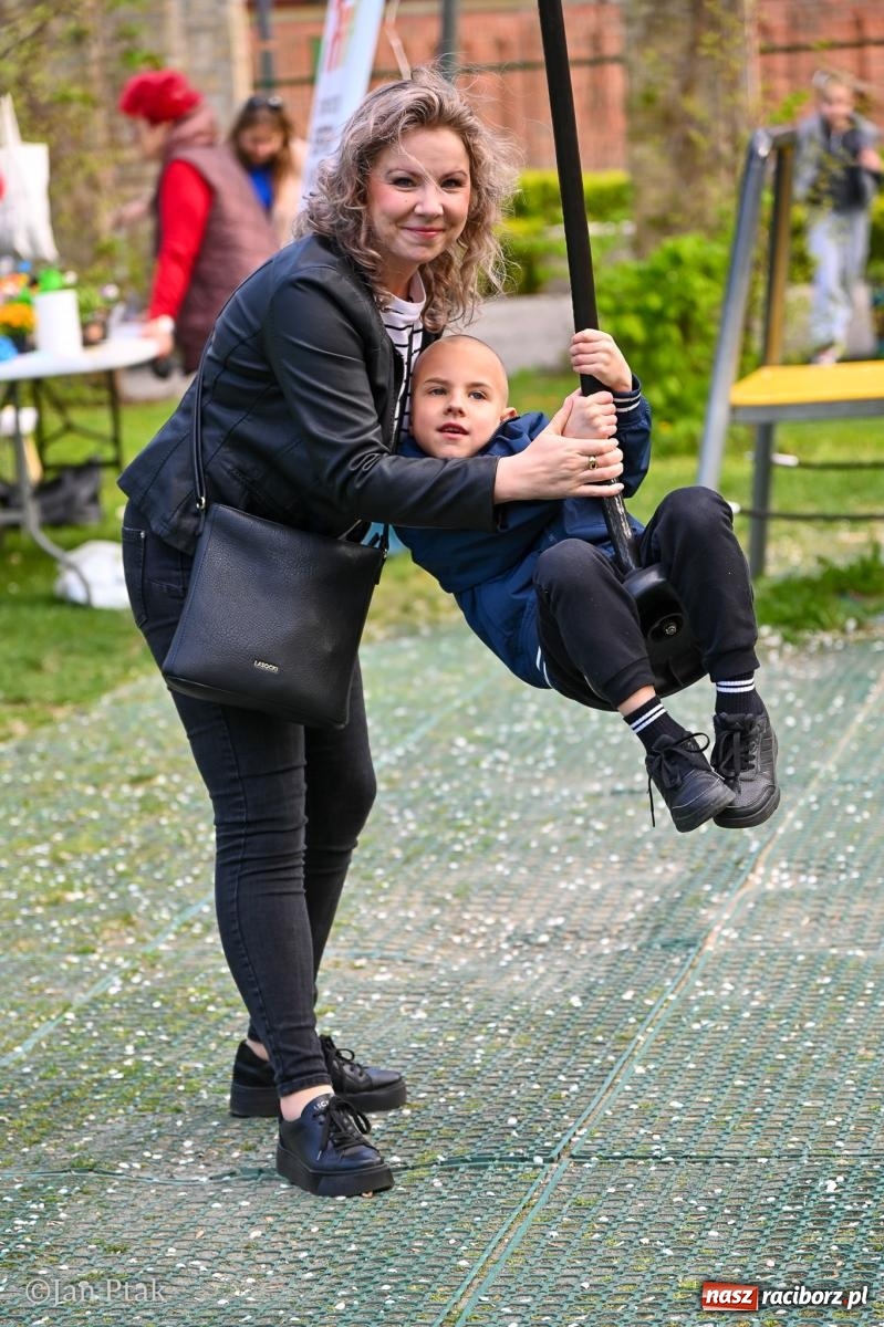 Zdjęcie w galerii na portalu naszraciborz.pl: Racibórz dla planety. Podsumowanie Dnia Ziemi w Ogródku Jordanowskim wiadomości z regionu