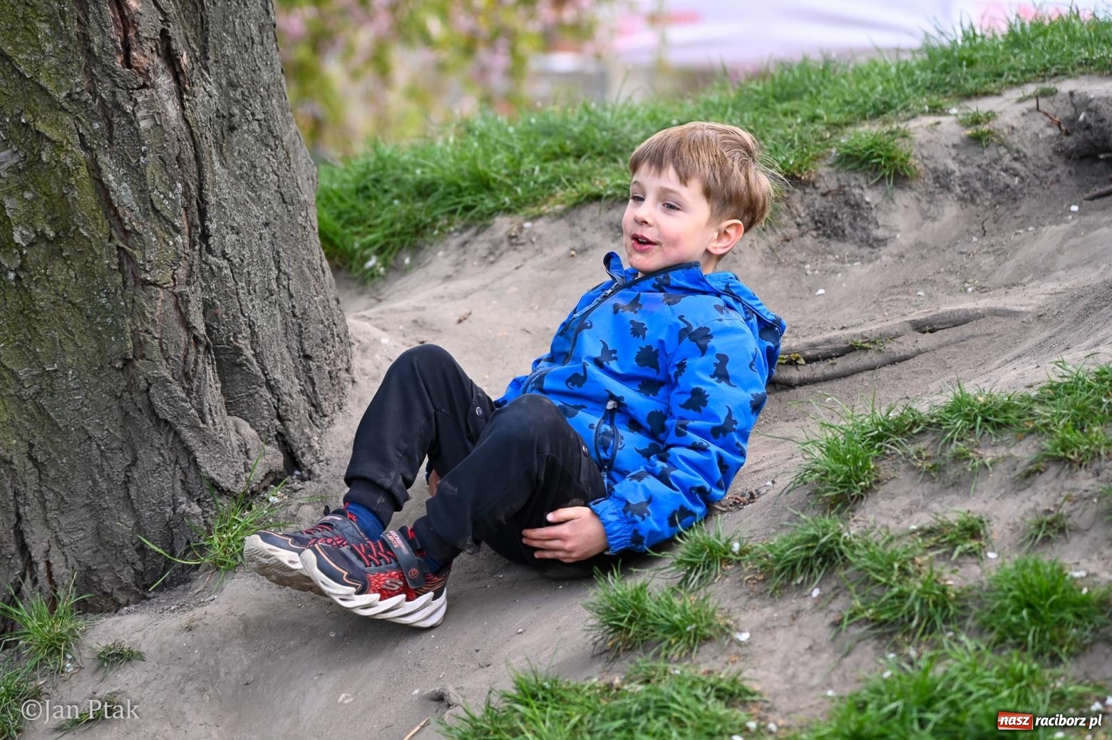 Zdjęcie w galerii na portalu naszraciborz.pl: Racibórz dla planety. Podsumowanie Dnia Ziemi w Ogródku Jordanowskim wiadomości z regionu