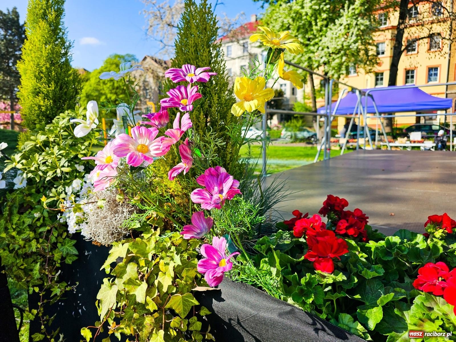 Zdjęcie w galerii na portalu naszraciborz.pl: Racibórz dla planety. Podsumowanie Dnia Ziemi w Ogródku Jordanowskim wiadomości z regionu