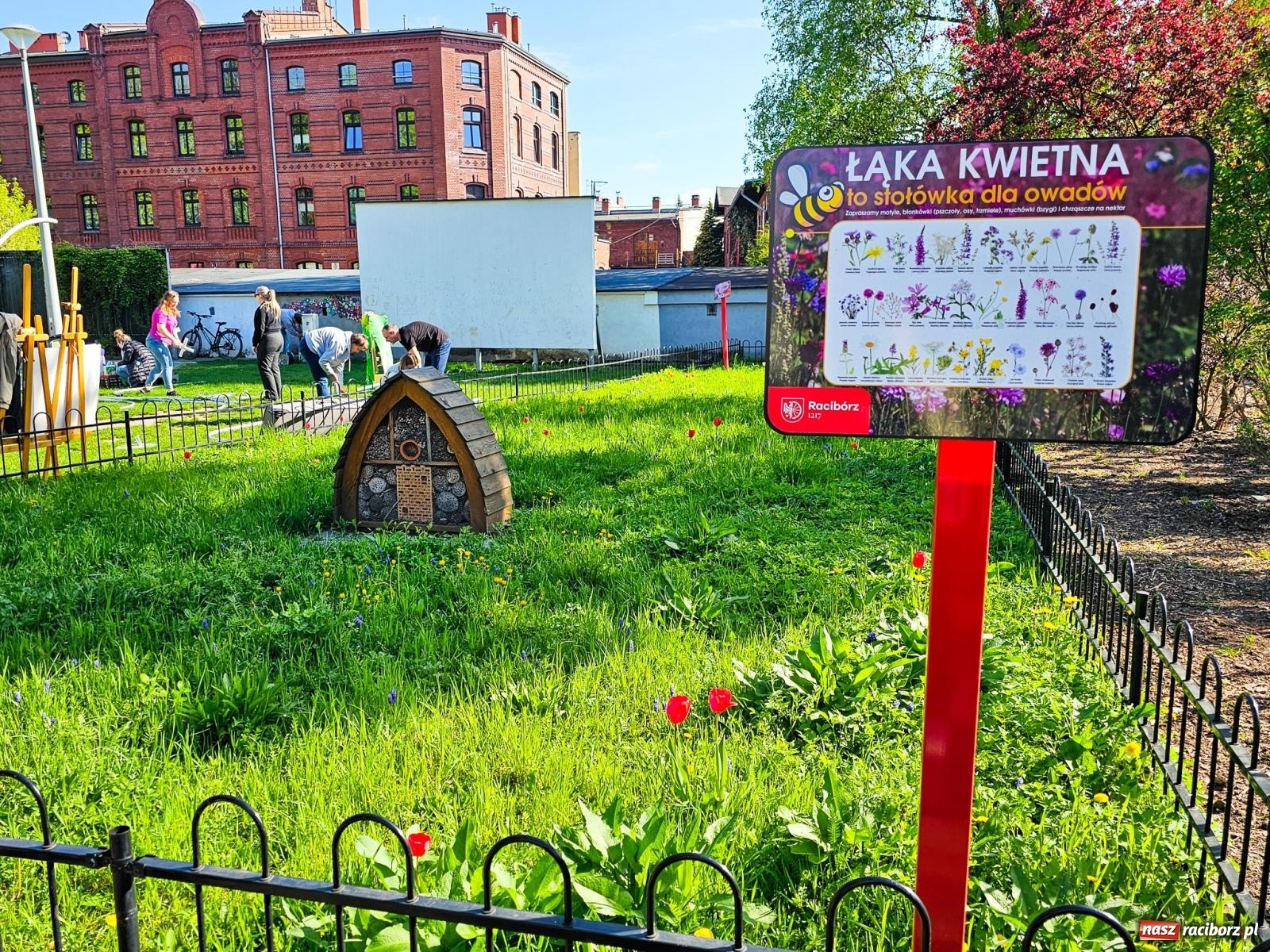 Zdjęcie w galerii na portalu naszraciborz.pl: Racibórz dla planety. Podsumowanie Dnia Ziemi w Ogródku Jordanowskim wiadomości z regionu