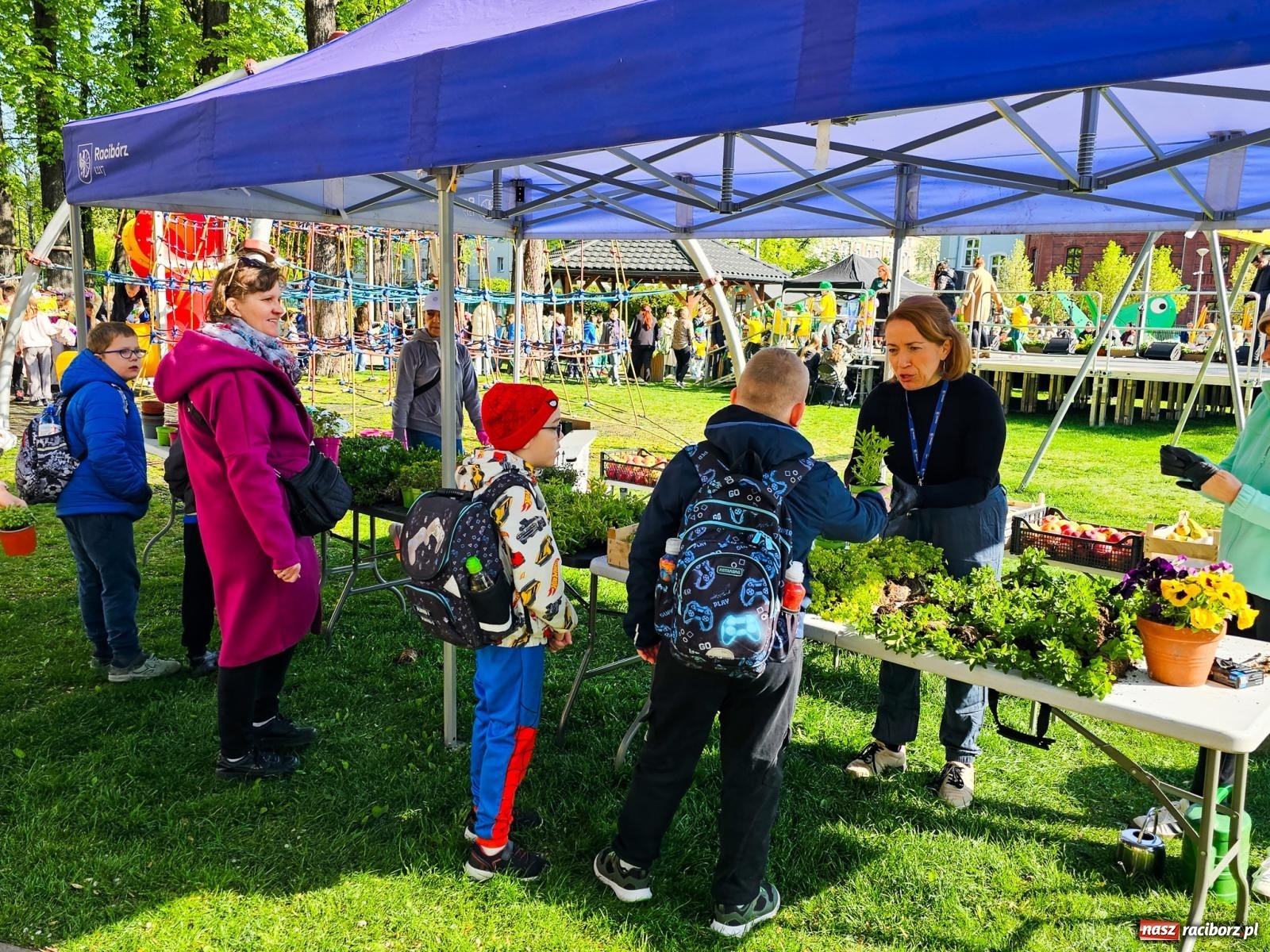 Zdjęcie w galerii na portalu naszraciborz.pl: Racibórz dla planety. Podsumowanie Dnia Ziemi w Ogródku Jordanowskim wiadomości z regionu
