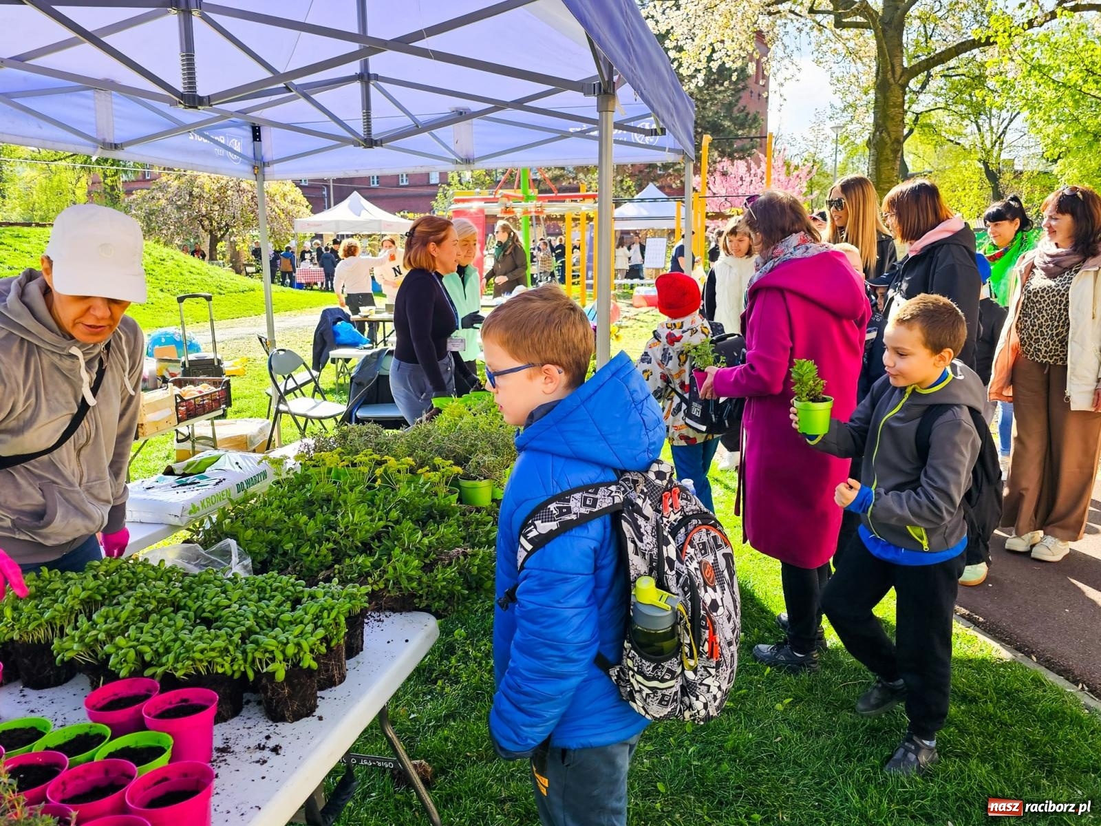 Zdjęcie w galerii na portalu naszraciborz.pl: Racibórz dla planety. Podsumowanie Dnia Ziemi w Ogródku Jordanowskim wiadomości z regionu