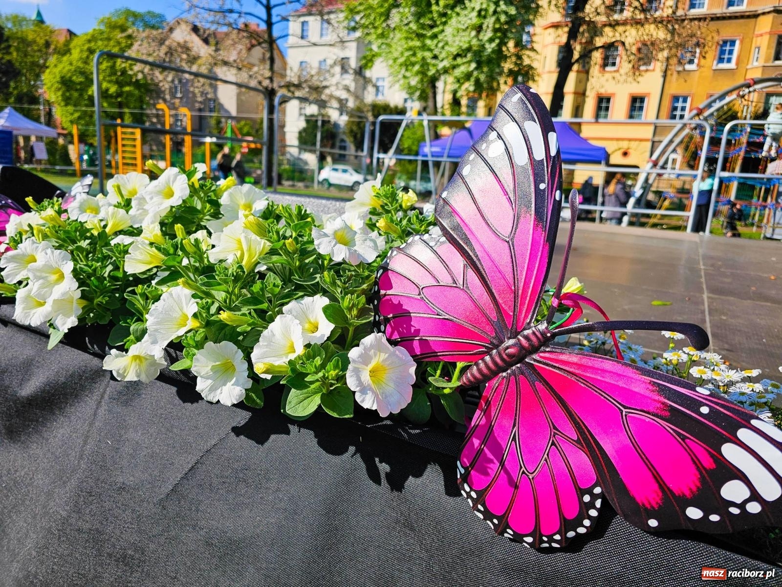 Zdjęcie w galerii na portalu naszraciborz.pl: Racibórz dla planety. Podsumowanie Dnia Ziemi w Ogródku Jordanowskim wiadomości z regionu
