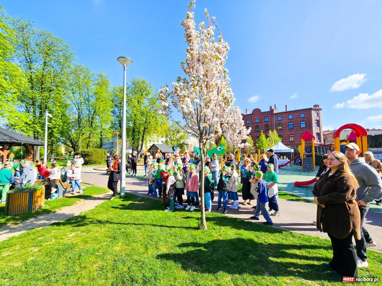 Zdjęcie w galerii na portalu naszraciborz.pl: Racibórz dla planety. Podsumowanie Dnia Ziemi w Ogródku Jordanowskim wiadomości z regionu