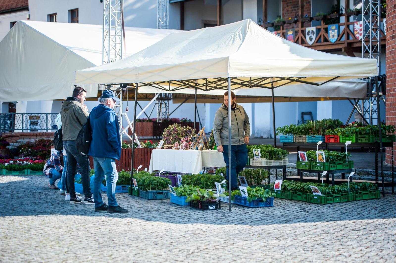 Zdjęcie w galerii na portalu naszraciborz.pl: Ruszył wiosenny jarmark na Zamku Piastowskim w Raciborzu wiadomości z regionu