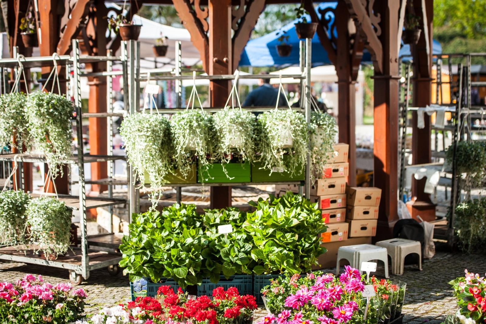 Zdjęcie w galerii na portalu naszraciborz.pl: Ruszył wiosenny jarmark na Zamku Piastowskim w Raciborzu wiadomości z regionu