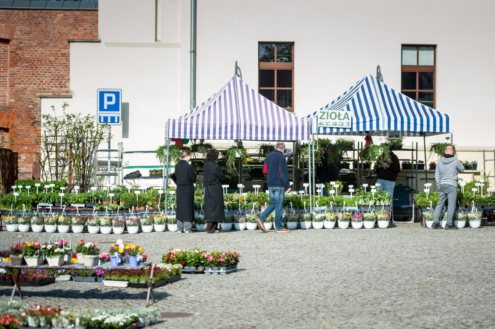 Zdjęcie w galerii na portalu naszraciborz.pl: Ruszył wiosenny jarmark na Zamku Piastowskim w Raciborzu wiadomości z regionu