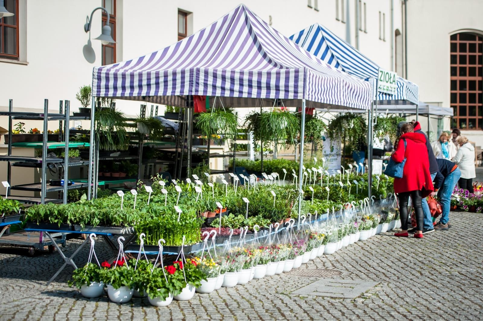 Zdjęcie w galerii na portalu naszraciborz.pl: Ruszył wiosenny jarmark na Zamku Piastowskim w Raciborzu wiadomości z regionu