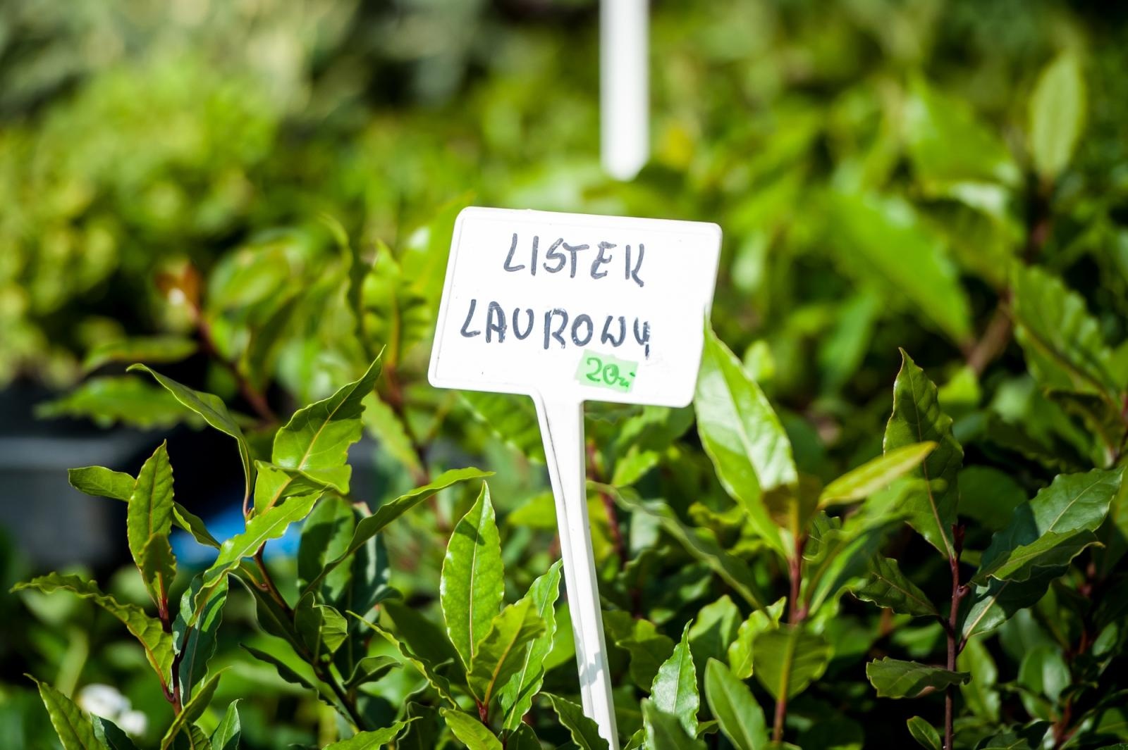 Zdjęcie w galerii na portalu naszraciborz.pl: Ruszył wiosenny jarmark na Zamku Piastowskim w Raciborzu wiadomości z regionu