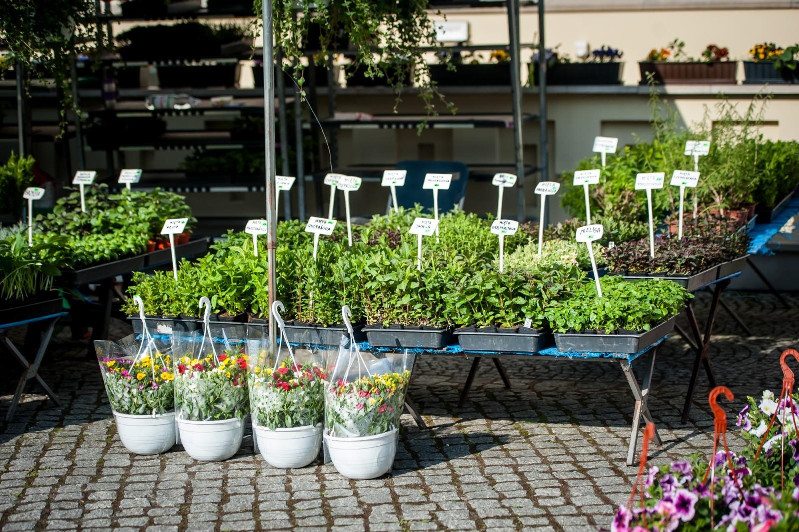 Zdjęcie w galerii na portalu naszraciborz.pl: Ruszył wiosenny jarmark na Zamku Piastowskim w Raciborzu wiadomości z regionu