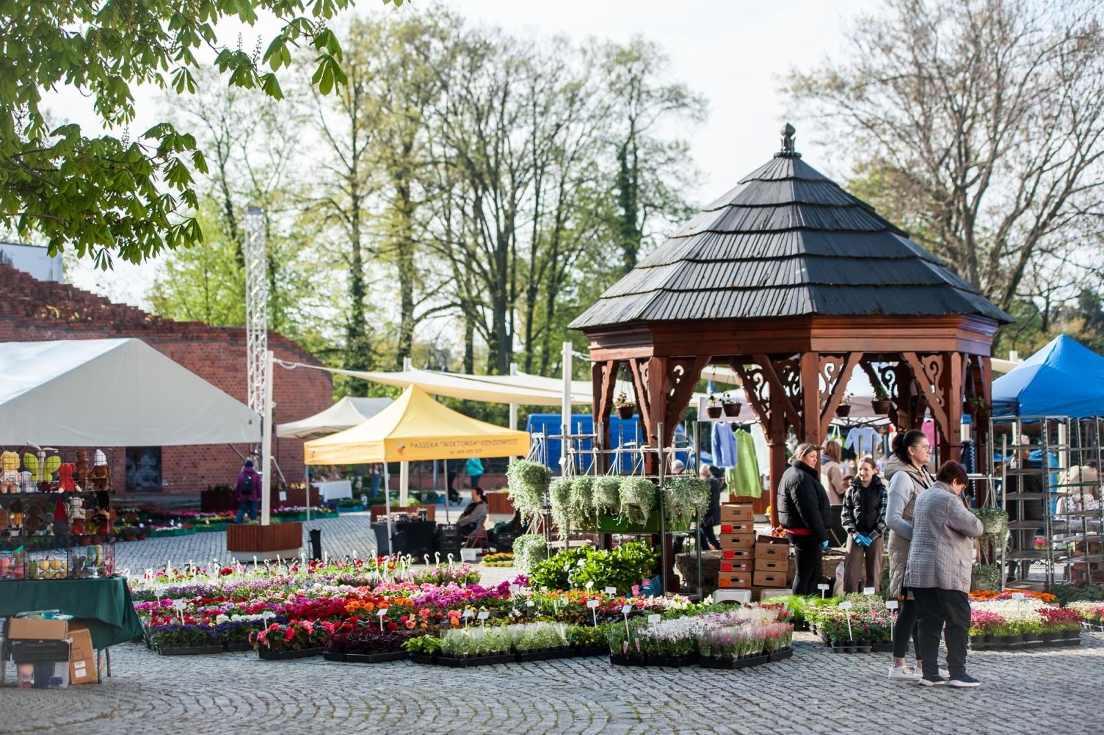 Zdjęcie w galerii na portalu naszraciborz.pl: Ruszył wiosenny jarmark na Zamku Piastowskim w Raciborzu wiadomości z regionu