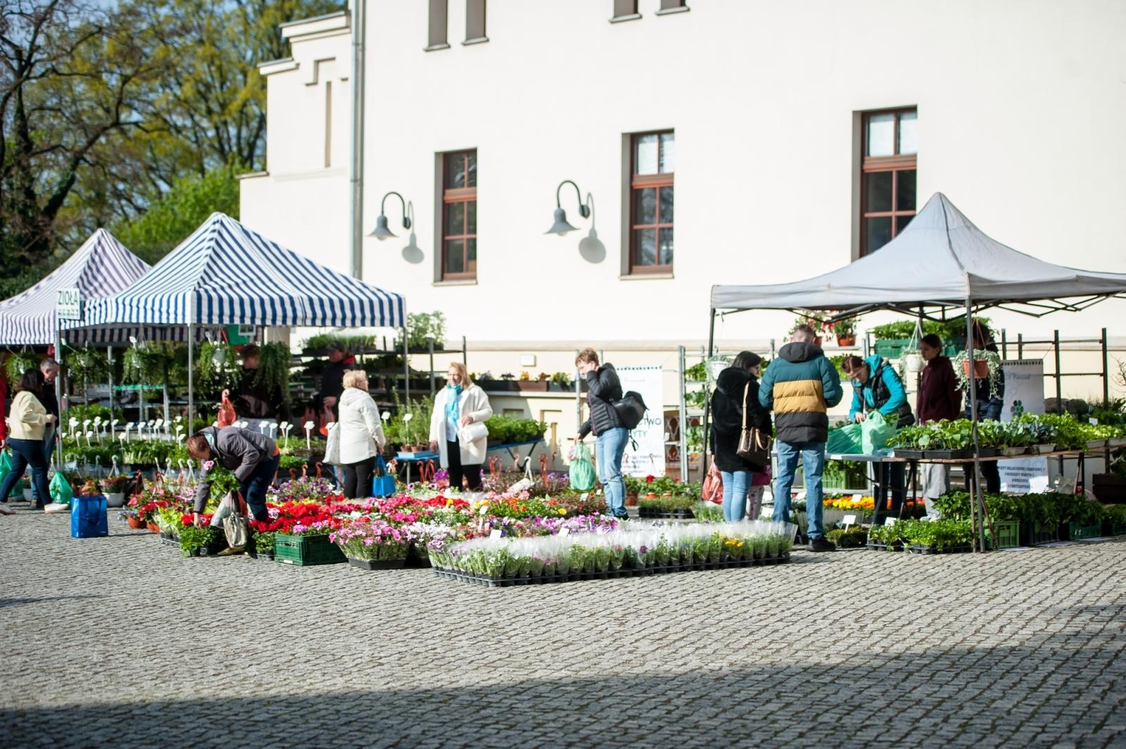 Zdjęcie w galerii na portalu naszraciborz.pl: Ruszył wiosenny jarmark na Zamku Piastowskim w Raciborzu wiadomości z regionu