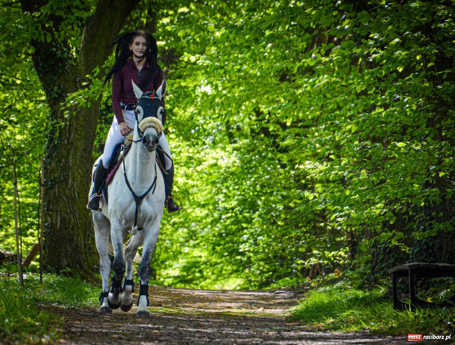 Zdjęcie w galerii na portalu naszraciborz.pl: Łubowice: tradycja i jeździectwo w jednym wydarzeniu [FOTO i WIDEO] wiadomości z regionu