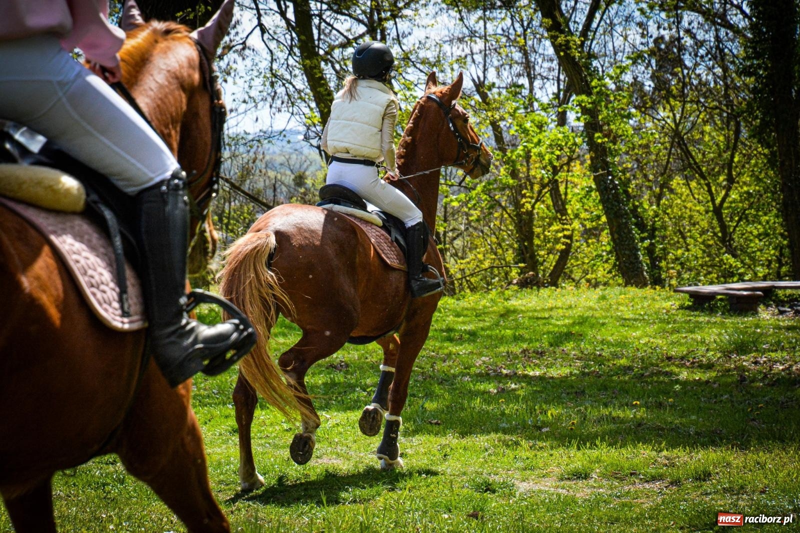 Zdjęcie w galerii na portalu naszraciborz.pl: Łubowice: tradycja i jeździectwo w jednym wydarzeniu [FOTO i WIDEO] wiadomości z regionu