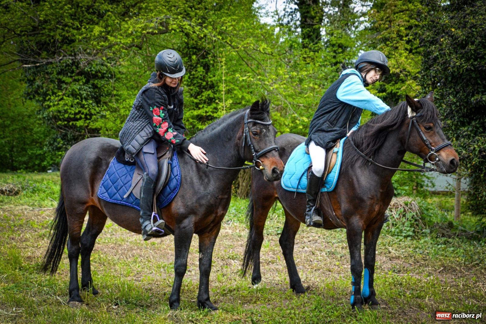 Zdjęcie w galerii na portalu naszraciborz.pl: Łubowice: tradycja i jeździectwo w jednym wydarzeniu [FOTO i WIDEO] wiadomości z regionu