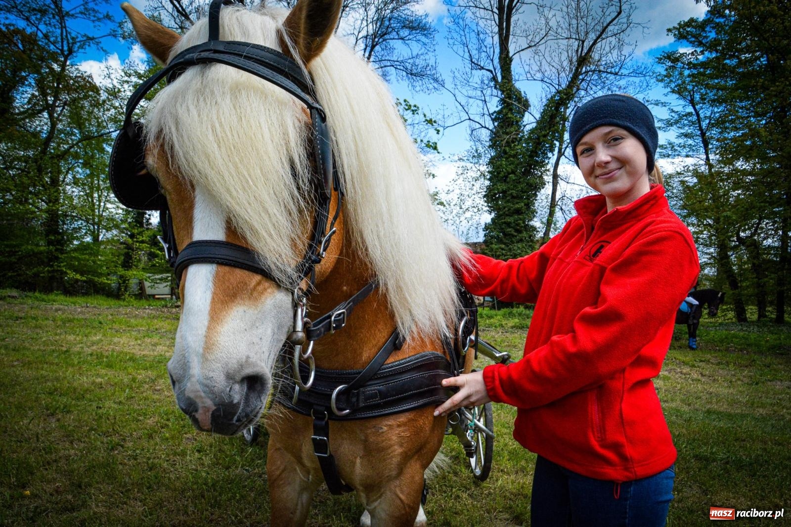 Zdjęcie w galerii na portalu naszraciborz.pl: Łubowice: tradycja i jeździectwo w jednym wydarzeniu [FOTO i WIDEO] wiadomości z regionu